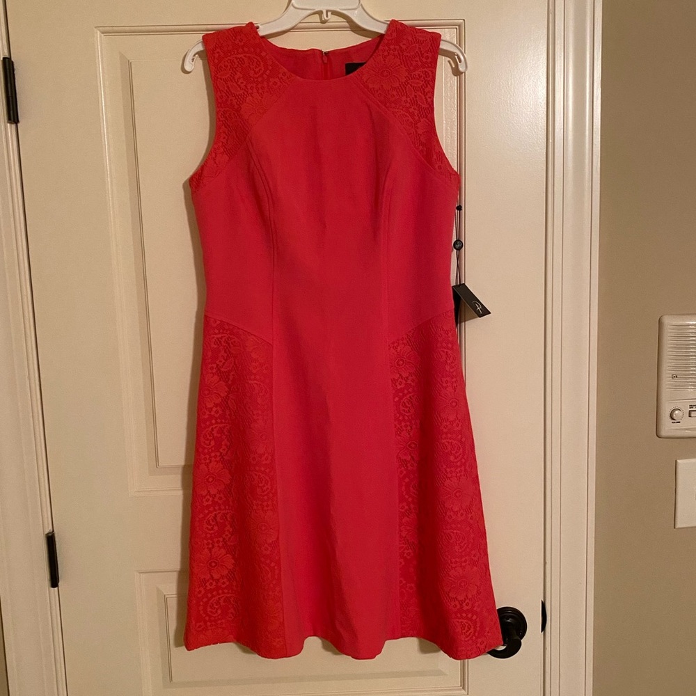 Adrianna Papell Pink Dress